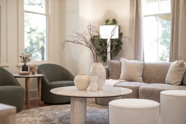 living room featuring a healthy amount of sunlight