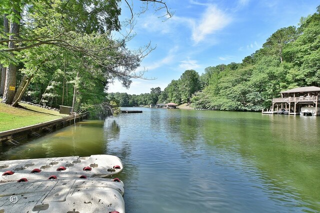 299 Coldiviees Rd, Hamilton, GA 31811 - photo 42