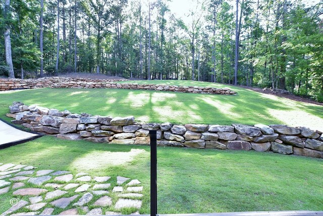 299 Coldiviees Rd, Hamilton, GA 31811 - photo 39