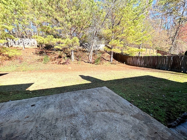 view of yard with a patio