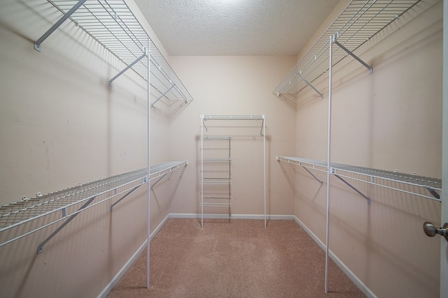 4548 Carnoustie Ln, Columbus, GA 31909 - walk in closet with carpet floors