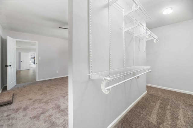 3409 Primrose Rd, Columbus, GA 31907 - walk in closet with carpet floors
