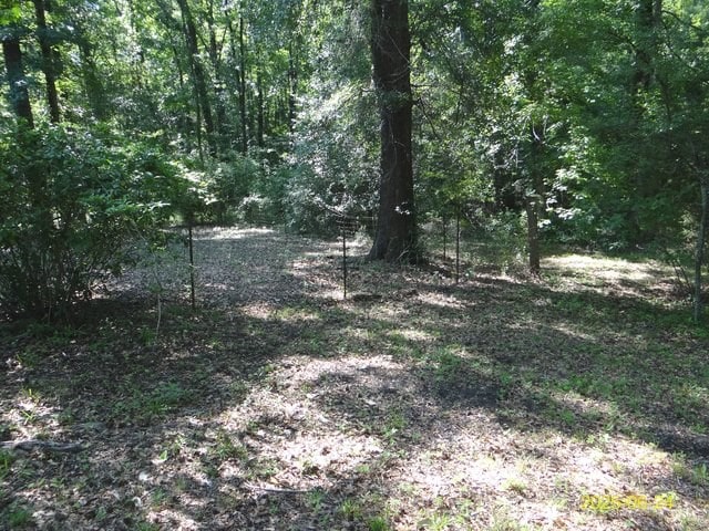 66 Glennhaven Rd, Phenix City, AL 36869 - view of tree filled area