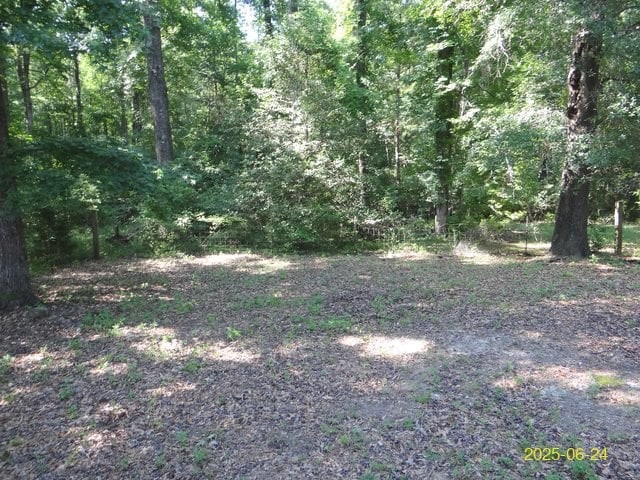 66 Glennhaven Rd, Phenix City, AL 36869 - view of woods