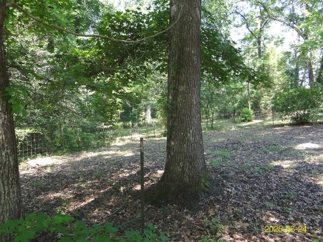66 Glennhaven Rd, Phenix City, AL 36869 - view of woods