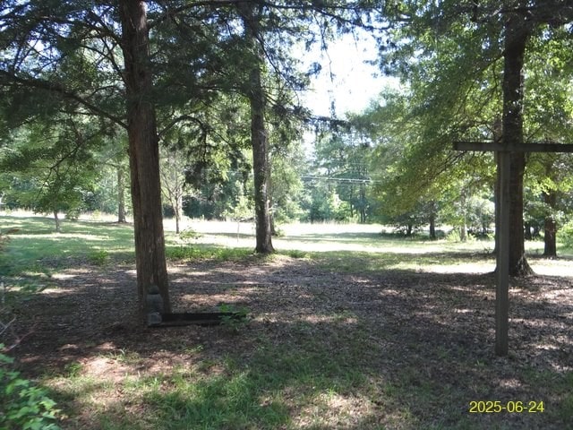 66 Glennhaven Rd, Phenix City, AL 36869 - view of local wilderness