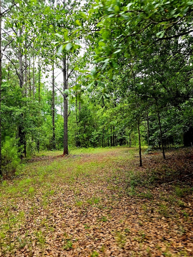 11 Sanford Loop, Lumpkin, GA 31815 - photo 7