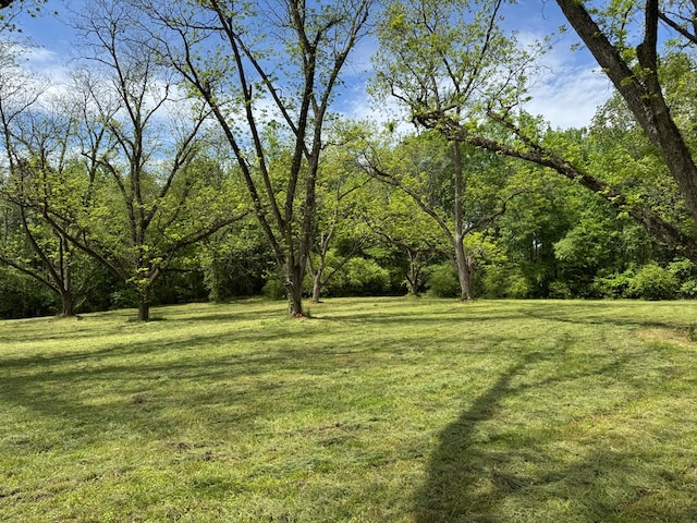 171 Jefferson Ave, Talbotton, GA 31827 - view of yard with a view of trees