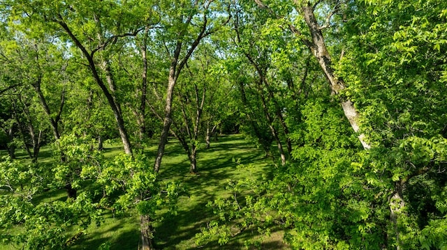 171 Jefferson Ave, Talbotton, GA 31827 - view of local wilderness
