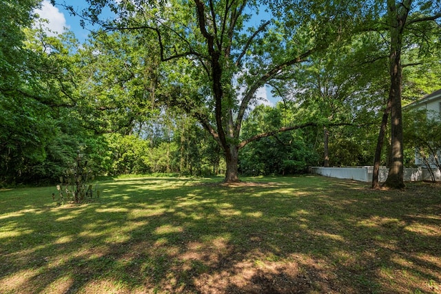 171 Jefferson Ave, Talbotton, GA 31827 - view of yard with fence