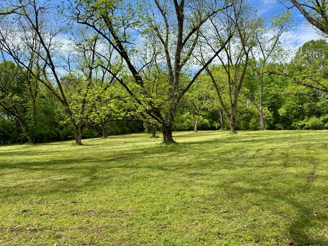 171 Jefferson Ave, Talbotton, GA 31827 - view of yard with a view of trees