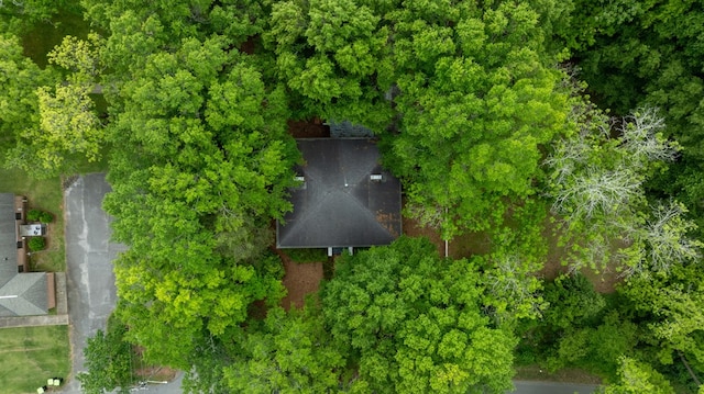171 Jefferson Ave, Talbotton, GA 31827 - birds eye view of property