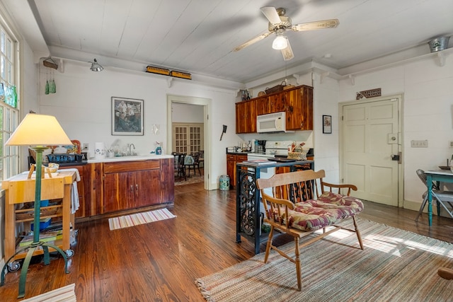 171 Jefferson Ave, Talbotton, GA 31827 - interior space featuring a ceiling fan and dark wood-type flooring