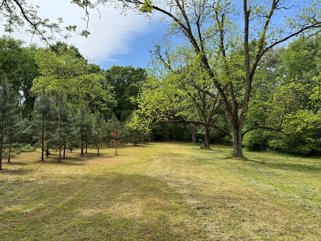 171 Jefferson Ave, Talbotton, GA 31827 - view of yard