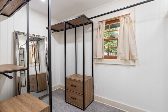 340 Commadore Dr, Hamilton, GA 31811 - spacious closet featuring carpet
