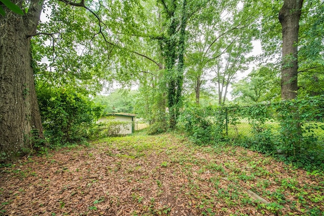 3 Primrose Ct, Columbus, GA 31907 - view of yard