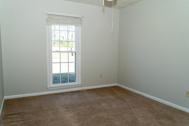 spare room with carpet flooring and a textured ceiling