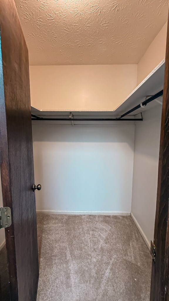 spacious closet featuring carpet floors