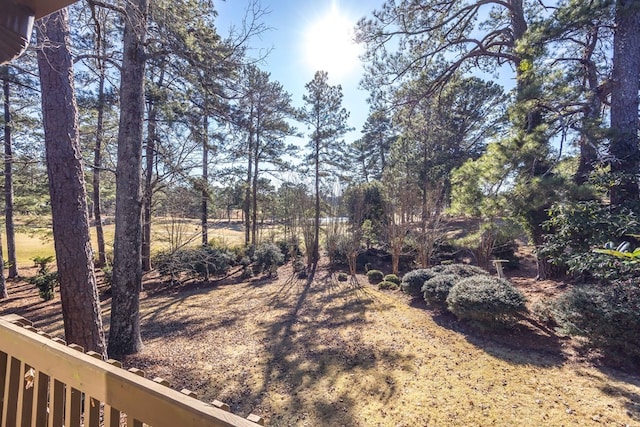 6601 Standing Boy Rd, Columbus, GA 31904 - photo 33