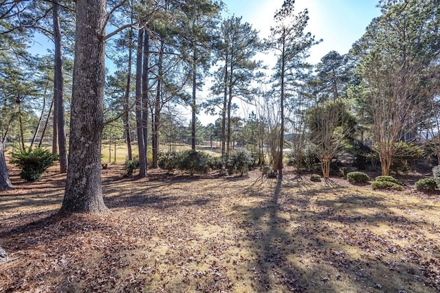 6601 Standing Boy Rd, Columbus, GA 31904 - photo 38