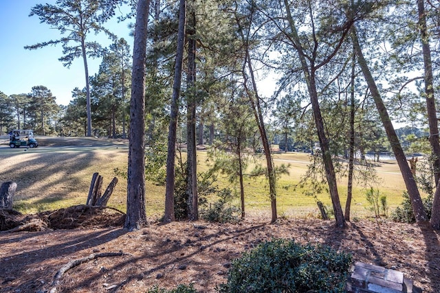 6601 Standing Boy Rd, Columbus, GA 31904 - photo 39