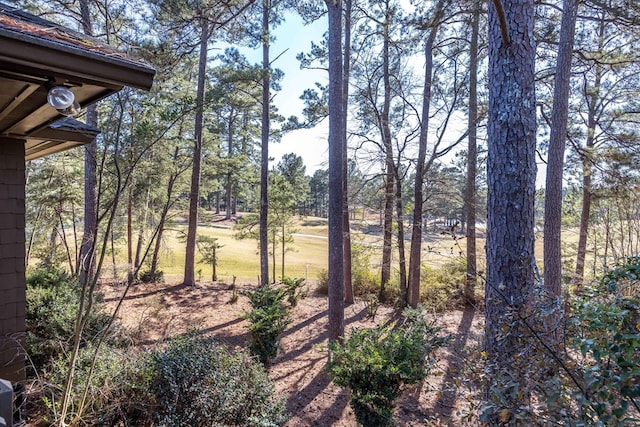 6601 Standing Boy Rd, Columbus, GA 31904 - photo 37