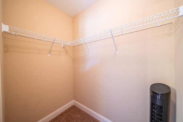 13 Talon Ct, Fort Mitchell, AL 36856 - photo 16