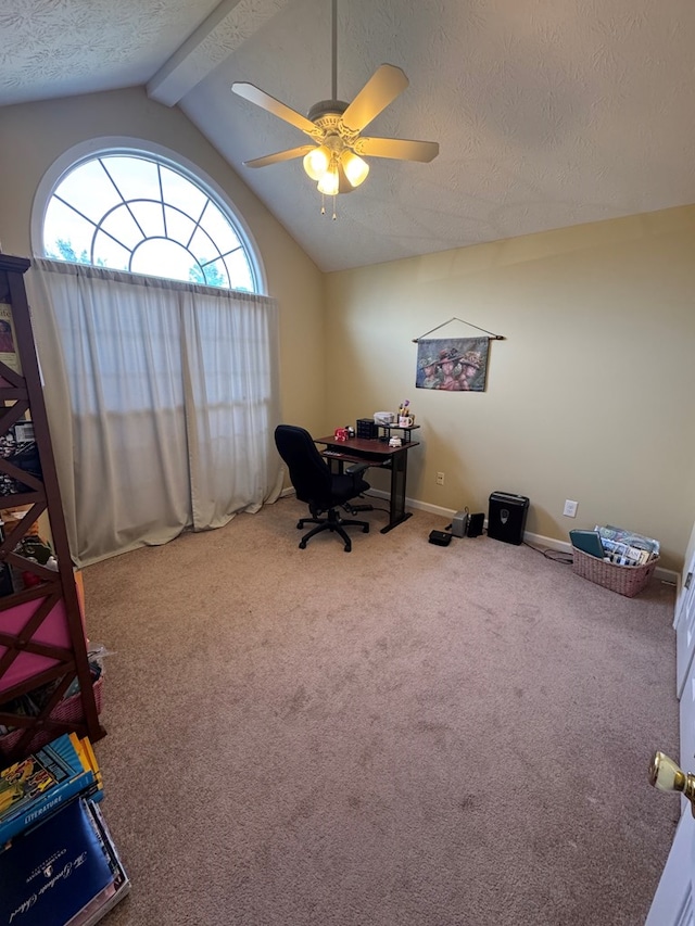 3802 Holland Ct, Phenix City, AL 36867 - office area featuring carpet floors, a ceiling fan, and a textured ceiling