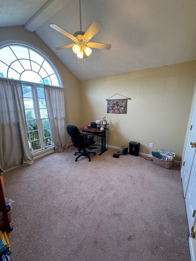 3802 Holland Ct, Phenix City, AL 36867 - carpeted office space with a ceiling fan and a textured ceiling