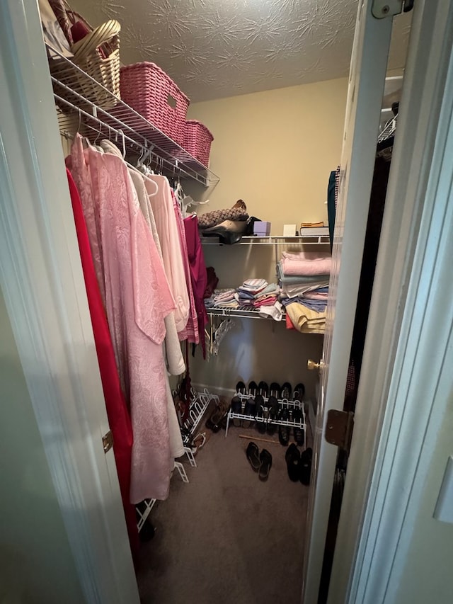 3802 Holland Ct, Phenix City, AL 36867 - walk in closet featuring carpet