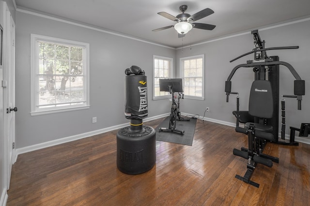 exercise room with crown molding, a ceiling fan, and a wealth of natural light