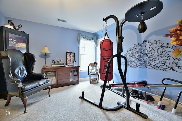 exercise room featuring carpet floors