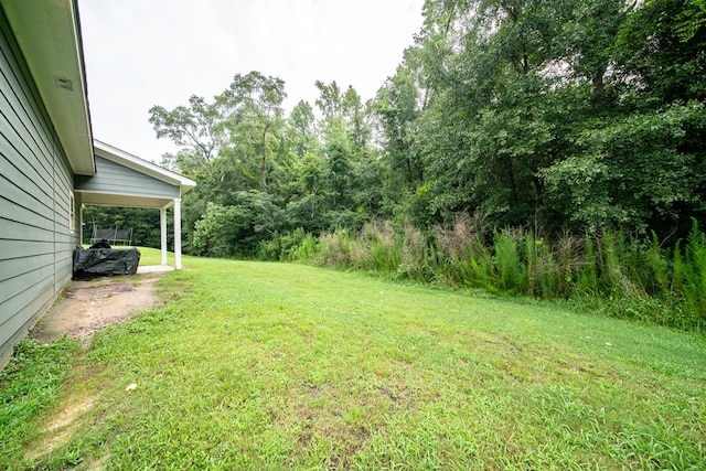 402 Lee Road 2203, Phenix City, AL 36870 - view of grassy yard