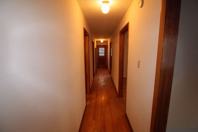 corridor with dark wood-type flooring