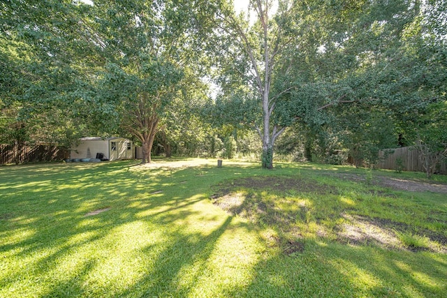 5728 Lexington Dr, Columbus, GA 31907 - view of yard