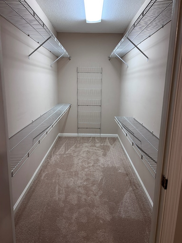 spacious closet featuring carpet