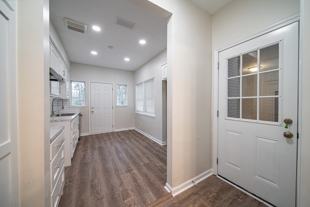 interior space featuring sink and wood-type flooring