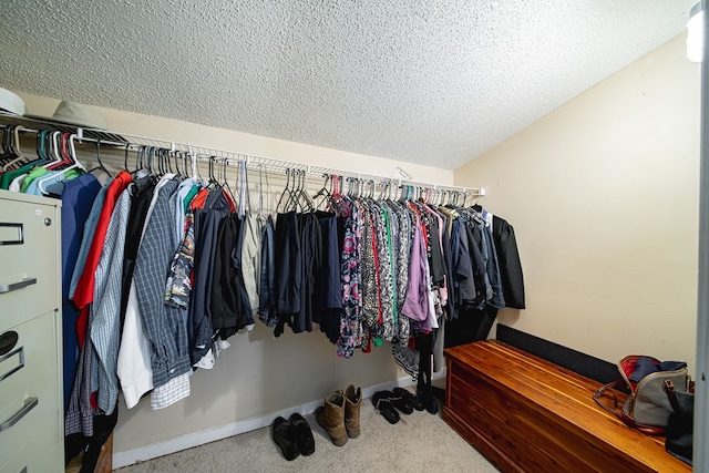 spacious closet featuring carpet flooring