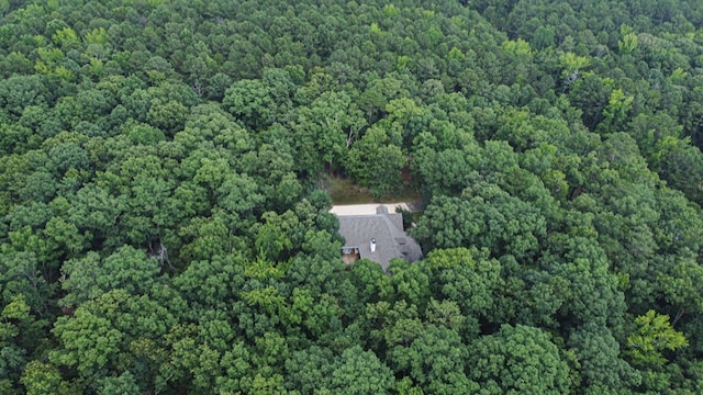247 Cold Springs Rd, Pine Mountain, GA 31822 - photo 51