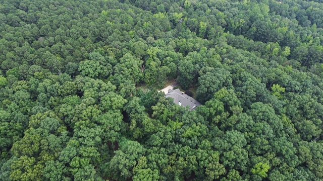 247 Cold Springs Rd, Pine Mountain, GA 31822 - photo 2