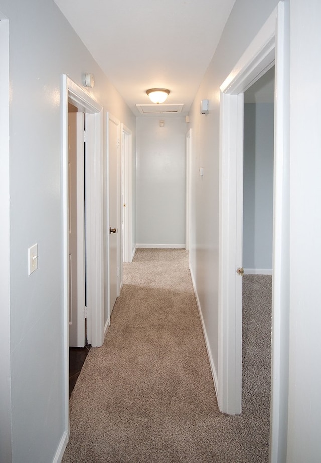 5622 Pollman St, Columbus, GA 31907 - hallway featuring carpet flooring and baseboards