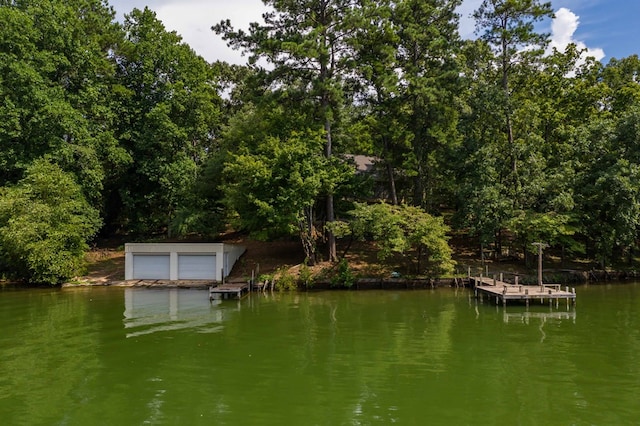 dock area with a water view