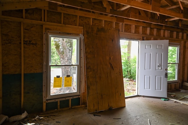miscellaneous room with plenty of natural light