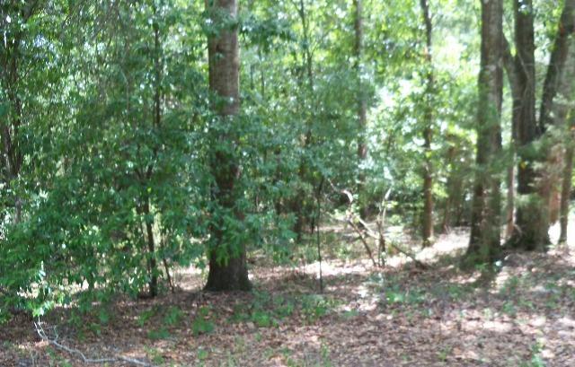 0 House Ave, Lumpkin, GA 31815