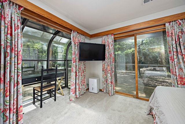 bedroom featuring carpet flooring