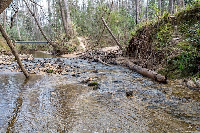 view of local wilderness featuring a wooded view