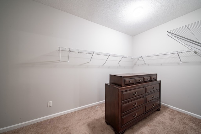 7312 Sorrel Ct, Columbus, GA 31909 - walk in closet featuring light carpet
