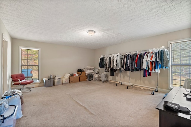 spacious closet with carpet flooring