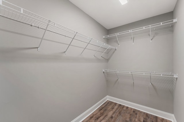 walk in closet with dark hardwood / wood-style flooring