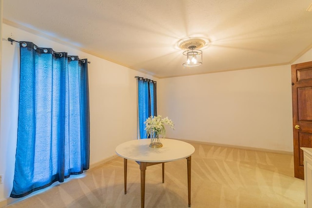 sitting room with light colored carpet and ornamental molding